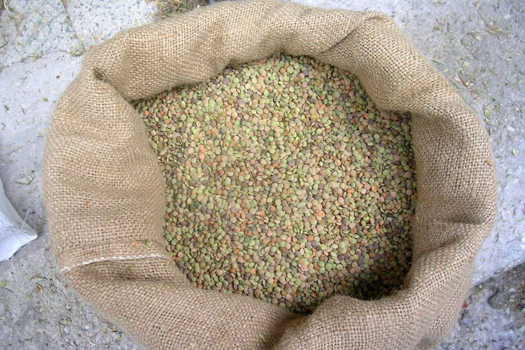 sacchetto lenticchia appena raccolta